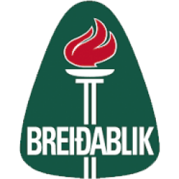 雷克雅未克維京古爾