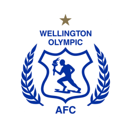 納皮爾城流浪者