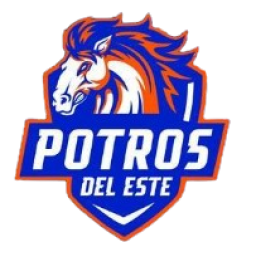 阿馬多爾后備隊